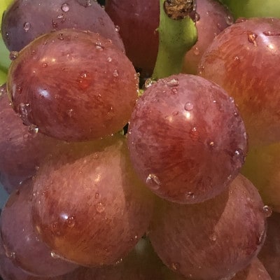 ã2025幎床çºéåãæ©èµ·ã蟲家ã®çŽé䟿ãäžåºæ¥ãã¹ã«ããããªã¬1æ¿ãé
éäžå¯å°åïŒé¢å³¶ã»åæµ·éã»æ²çžçãã1519569ã