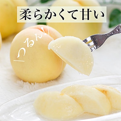 ãå
è¡åä»ã岡山çç£ãçœæ¡8ç(1.7kg以äž)ãåç²§ç®±å
¥ããé
éäžå¯å°åïŒé¢å³¶ã»åæµ·éã»æ²çžçãã1281363ã