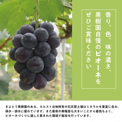 【発送月固定定期便】【2026年先行予約】桃、ピオーネ、シャインマスカットの満足便(岡山県産)全3回【配送不可地域：離島】【4078998】