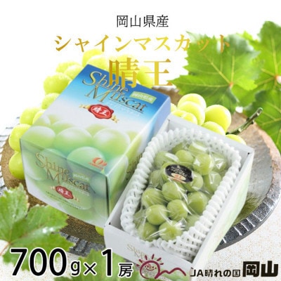 【2026年7月中旬より順次発送】岡山県産 シャインマスカット 晴王 700g×1房【配送不可地域：離島・北海道・沖縄県】【1365929】