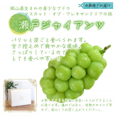 【2026年先行受付】岡山　花笑み農園のブドウ『瀬戸ジャイアンツ』1kg(2房)　G-1【配送不可地域：離島・北海道・沖縄県】【1628319】