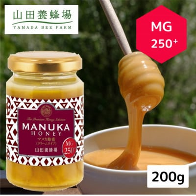 【毎月定期便】マヌカ蜂蜜(クリームタイプ)MG250+200g(22178)　マヌカハニー全6回【4086623】