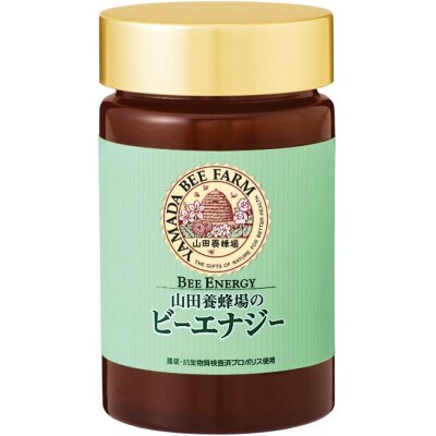 ビーエナジー(114)【1621453】