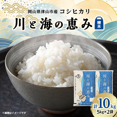 【岡山県津山市産】川と海の恵み10kg(コシヒカリ)【1352224】