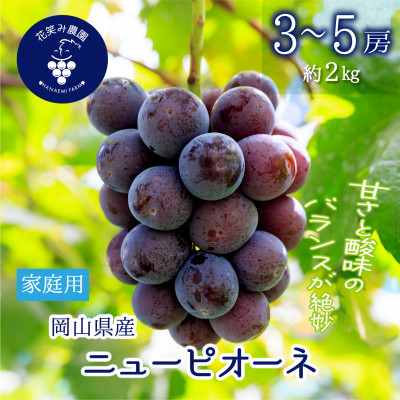 【2026年先行受付】岡山　花笑み農園の『ニューピオーネ』家庭用　約2kg(3〜5房)　P-2家【配送不可地域：離島】【1692569】