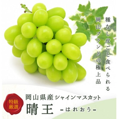 縲仙郁。悟女莉倥大イ。螻ア逵檎肇 繧キ繝」繧、繝ウ繝槭せ繧ォ繝繝医取匐邇九2謌ソ(1謌ソ480g莉・荳) 蛹也イァ邂ア蜈・繧翫宣埼∽ク榊庄蝨ー蝓滂シ夐屬蟲カ繝サ蛹玲オキ驕薙サ豐也ク逵後代1499104縲