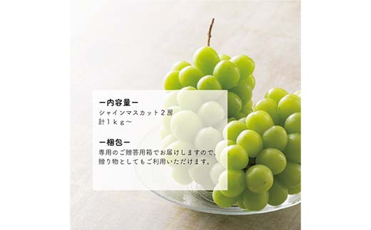 岡山県産 こだわりのシャインマスカット 中サイズ2房入 ぶどう ブドウ シャインマスカット 社員マスカット 葡萄 デザート フルーツ 果物 くだもの 果実 食品 TY0-0842