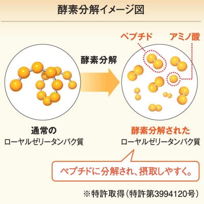 縲先ッ取怦螳壽悄萓ソ縲鷹オ邏蛻隗」繝ュ繝シ繝、繝ォ繧シ繝ェ繝シ CoQ10(5935)蜈ィ6蝗槭4086624縲