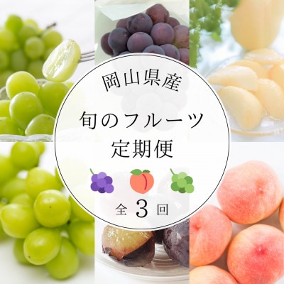 【発送月固定定期便】岡山県産旬のフルーツ定期便全3回【配送不可地域：離島・北海道・沖縄県】【4067124】
