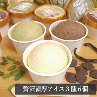 アイス職人の作るこだわりアイスクリーム3種6個セット 各90ml入り ピスタチオ チョコ バニラ【配送不可地域：離島】【1577221】
