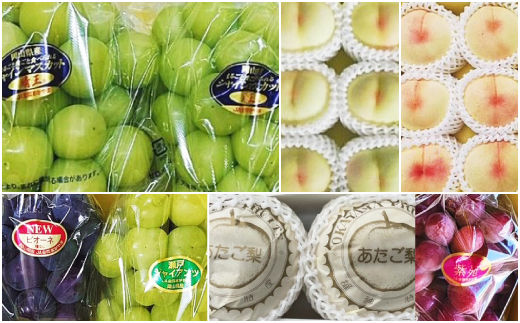 【発送月固定定期便】岡山県産 フルーツ定期便全6回【配送不可地域：離島・北海道・沖縄県】【4075036】