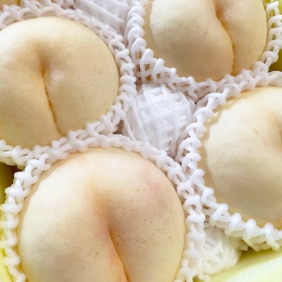 【2025年先行予約】2025年8月上旬頃より発送予定・岡山の白桃・おかやま夢白桃(1.5kg箱)【配送不可地域:離島】【1580278】