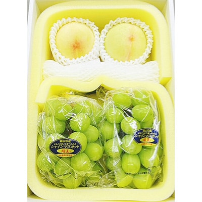 【先行受付】岡山県産　詰合せ/白桃とシャインマスカット『晴王』 化粧箱入り【配送不可地域：離島・北海道・沖縄県】【1281366】