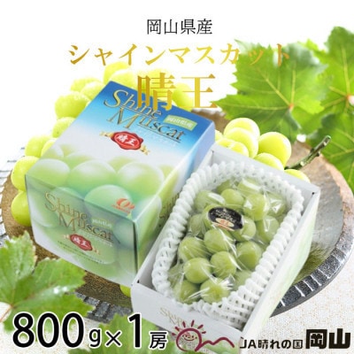 【2026年7月中旬より順次発送】岡山県産 シャインマスカット 晴王 800g×1房【配送不可地域：離島・北海道・沖縄県】【1365930】