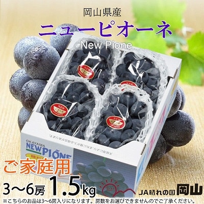 【2025年8月より発送】ご家庭用　岡山県産　ピオーネ　1.5kg(3〜6房)【配送不可地域：離島】【1409717】