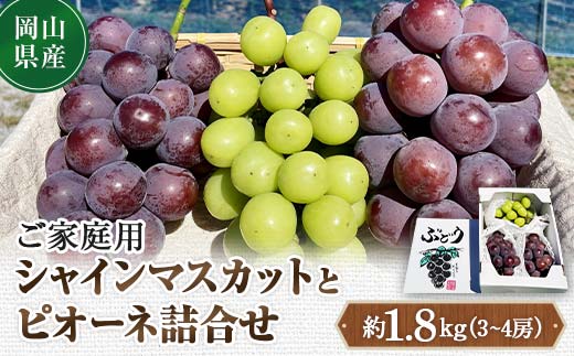 先行予約 2024年10月発送開始予定 岡山県産 ご家庭用 シャインマスカットとピオーネ詰合せ 訳あり TY0-0330