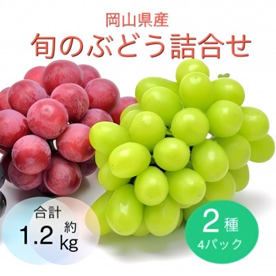 【2025年9月より順次発送】岡山県産 旬のぶどう詰合せ 2種4パックセット【配送不可地域：離島】【1575467】
