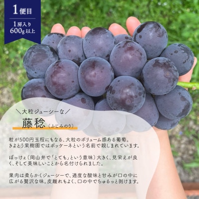 【発送月固定定期便】「藤稔」と「シャインマスカット」、1房ずつのお試し便!(岡山県産)全2回【配送不可地域：離島】【4065820】
