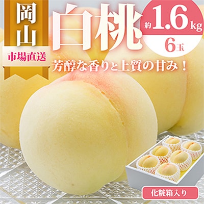 【先行受付】岡山県産　白桃6玉(1.6kg以上)　化粧箱入り【配送不可地域：離島・北海道・沖縄県】【1281362】