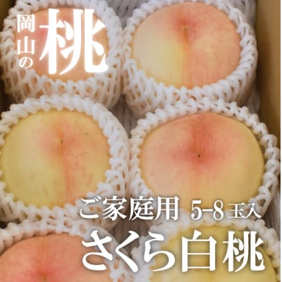 【2026年先行予約】しっかりめの肉質と甘さが絶品「さくら白桃」ご家庭用 5-8玉入(岡山県産)【配送不可地域：離島】【1571615】