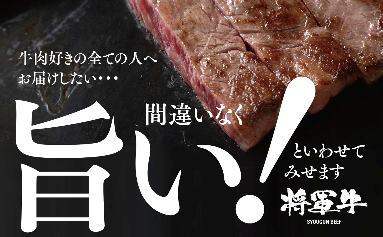 【将軍牛】特選ロースステーキ 500g【配送不可地域：離島・北海道・沖縄県】【1653402】