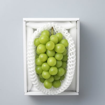 岡山県産　秋のシャインマスカット　1房【冷蔵】2026年発送【配送不可地域：離島・北海道・沖縄県】【1709333】