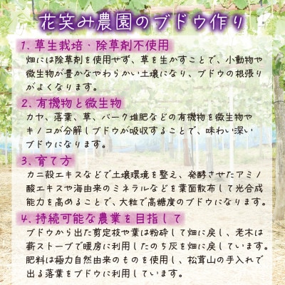 【2026年先行受付】岡山　花笑み農園『ブドウの宝石箱』3種以上(36粒入り)　3M-宝36【配送不可地域：離島・北海道・沖縄県】【1629381】