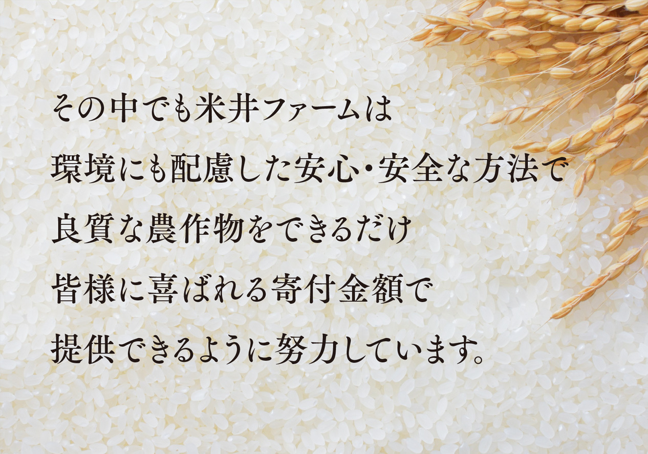 ãããããç±³(5kg)ç¡æŽç±³ããªããŒã¿ãŒç¶åºã1647875ã