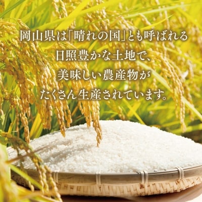 おいしいお米(5kg) 無洗米 リピーター続出 きぬむすめ【1184608】