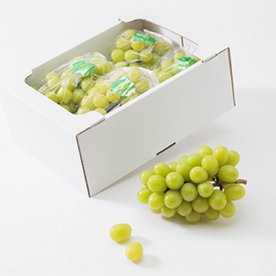 【2026年度発送分】早起き農家の直送便　わけありシャインマスカット2kg【配送不可地域：離島・北海道・沖縄県】【1428073】