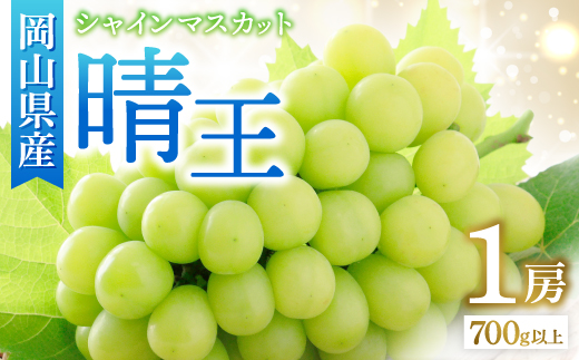 ◆先行受付◆　秋のシャインマスカット「晴王」1房　2026年発送【配送不可地域：離島・北海道・沖縄県】【1349780】