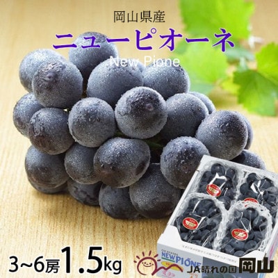 【2026年6月下旬より順次発送】岡山県産 ニューピオーネ 1.5kg(3房〜6房)【配送不可地域：離島・北海道・沖縄県】【1308146】