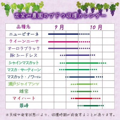 【2026年先行受付】岡山　花笑み農園のブドウ『10月おすすめ 2種セット』1kg(2房)2M-1L【配送不可地域：離島・北海道・沖縄県】【1627769】