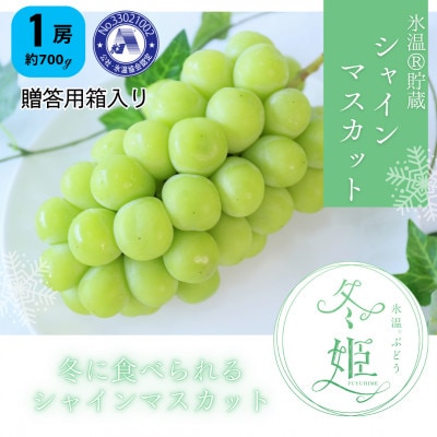 【11月-1月発送】氷温貯蔵マスカット冬姫(1房)【配送不可地域：離島】【1565009】