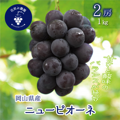 【2026年先行受付】岡山　花笑み農園の『ニューピオーネ』1kg(2房)　P-1【配送不可地域：離島・北海道・沖縄県】【1628315】