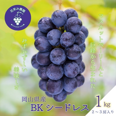 【2026年先行受付】岡山　花笑み農園の『BKシードレス』1kg(2〜3房)　B-1【配送不可地域：離島・北海道・沖縄県】【1628316】