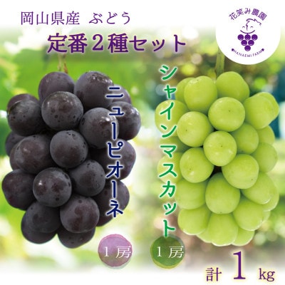 【2026年先行受付】岡山　花笑み農園の『ニューピオーネ&シャインマスカット』1kg(2房)PS-1【配送不可地域：離島・北海道・沖縄県】【1627783】