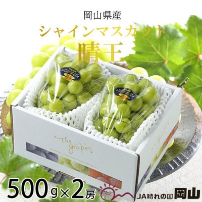 【2026年7月中旬より順次発送】岡山県産 シャインマスカット 晴王 500g×2房【配送不可地域：離島・北海道・沖縄県】【1365933】