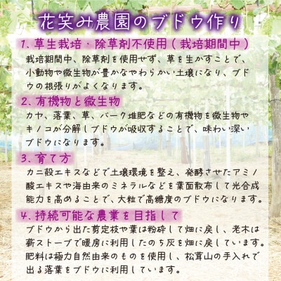 【2026年先行受付】岡山　花笑み農園『ブドウの宝石箱』3種以上(18粒入り)　3M-宝18【配送不可地域：離島・北海道・沖縄県】【1629379】