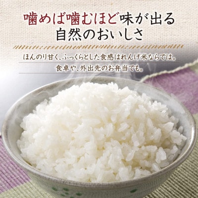 岡山県産　れんげ米(5kg入)(26552)【1030490】