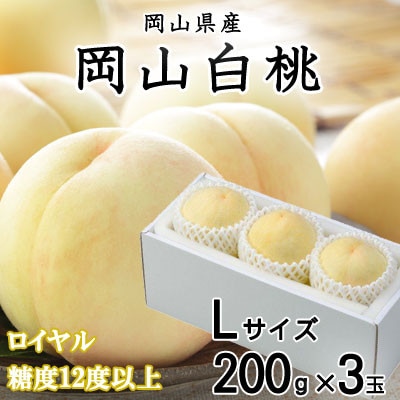 【先行受付】岡山白桃 ロイヤル 3玉×200g (Lサイズ) 岡山県産【配送不可地域：離島・北海道・沖縄県】【1305716】