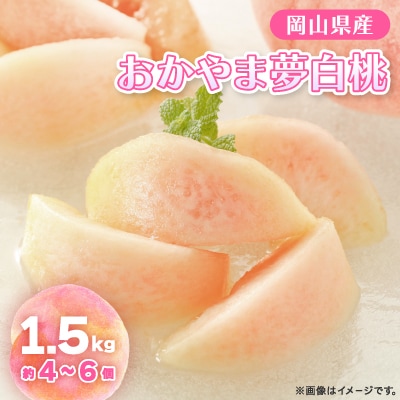 【2025年先行予約】2025年8月上旬頃より発送予定・岡山の白桃・おかやま夢白桃(1.5kg箱)【配送不可地域:離島】【1580278】