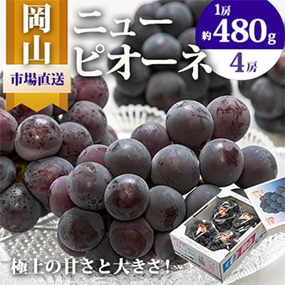 【先行受付】岡山県産　ニューピオーネ4房(1房480g以上・合計約2kg)【配送不可地域：離島・北海道・沖縄県】【1281357】