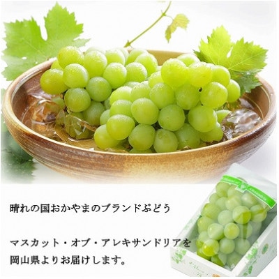 ã2026幎6æäžæ¬ããé æ¬¡çºéã岡山çç£ ãã¹ã«ããã»ãªãã»ã¢ã¬ããµã³ããªã¢ 700gÃ1æ¿ãé
éäžå¯å°åïŒé¢å³¶ã»åæµ·éã»æ²çžçãã1364674ã