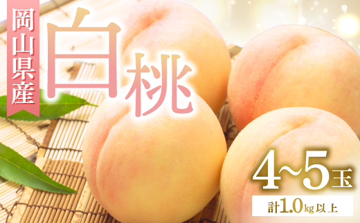 ◆先行受付◆　岡山県産　岡山白桃4〜5玉　2026年発送【配送不可地域：離島・北海道・沖縄県】【1349771】