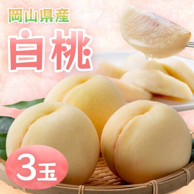 【2026年発送】岡山県産白桃　3玉・約800g(クール便)【配送不可地域：離島】【1614345】