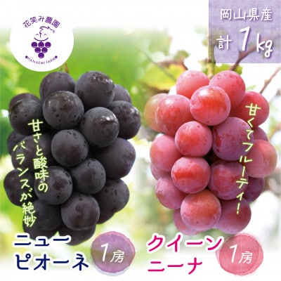 【2026年先行受付】岡山　花笑み農園の『ニューピオーネ&クイーンニーナ』1kg(2房)　PQ-1【配送不可地域：離島・北海道・沖縄県】【1629357】
