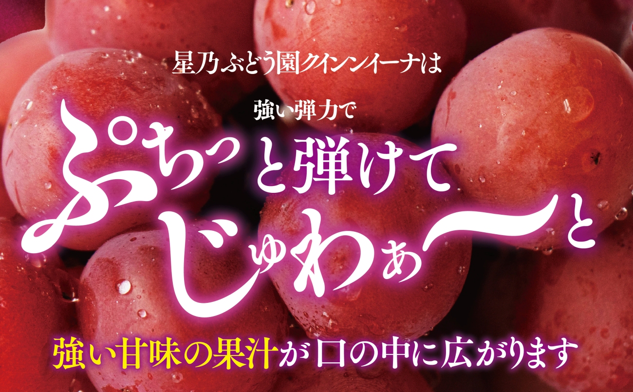 【三つ星ブランド】星乃クイーンニーナ 数量限定 2房〜3房(1.2kg以上)【配送不可地域：離島・北海道・沖縄県】【1601625】