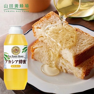ルーマニア産アカシア蜂蜜500g(12670)【1354658】