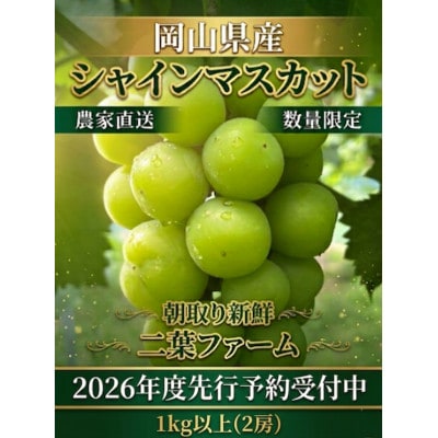 【2026年先行受付】岡山のぶどう(シャインマスカット)1kg以上(2房)【配送不可地域：離島】【1617999】